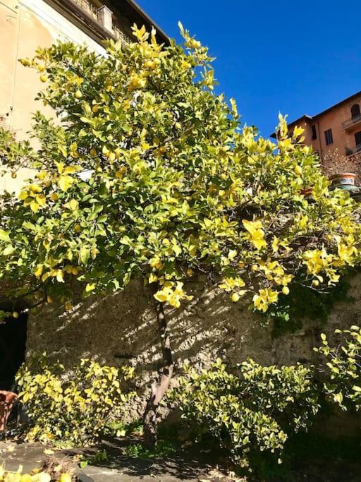 Villa Livia La Spezia Exterior foto